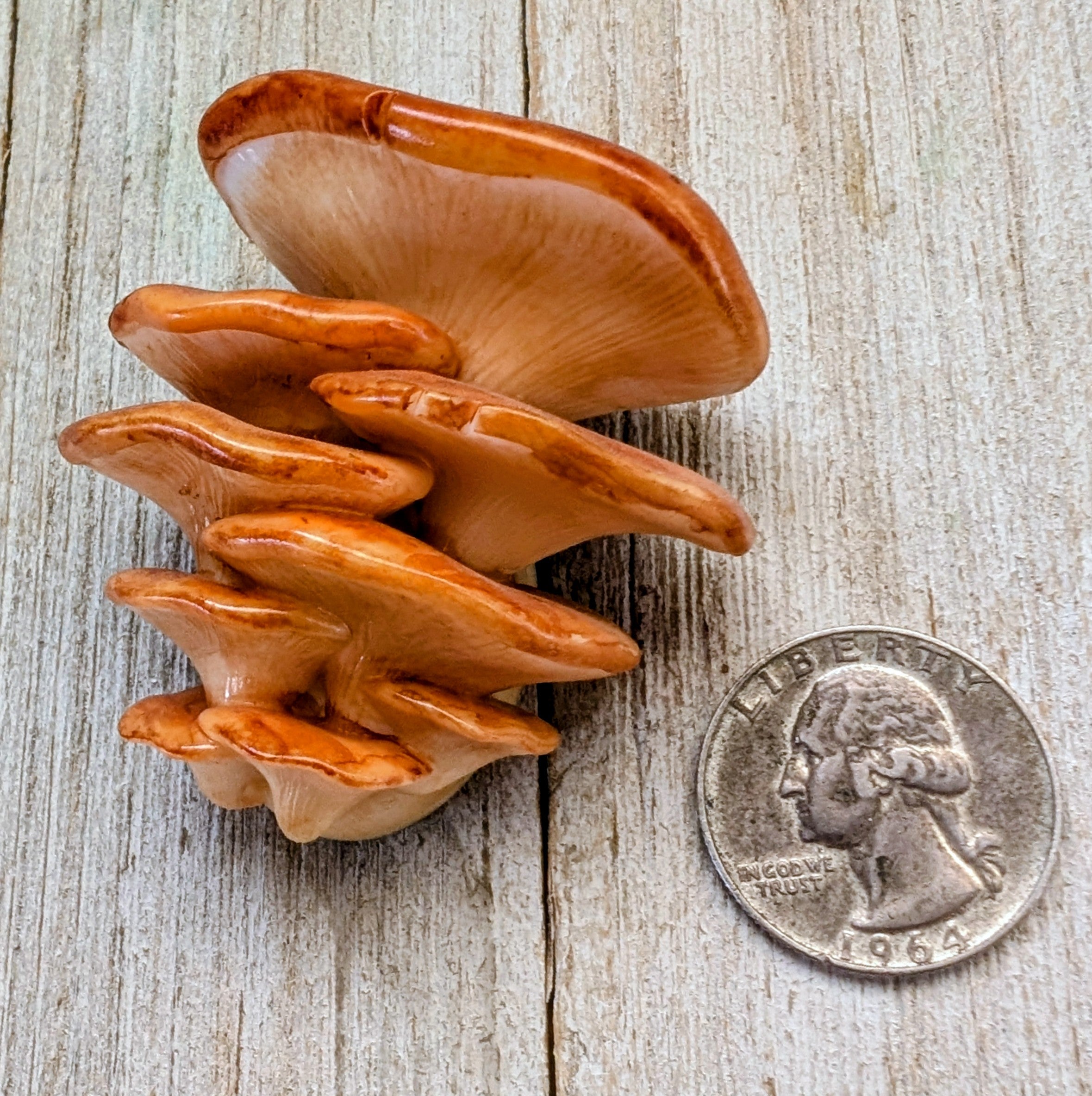 Oyster mushroom magnetic hat brooch