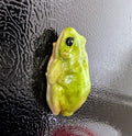 Tree frog magnet