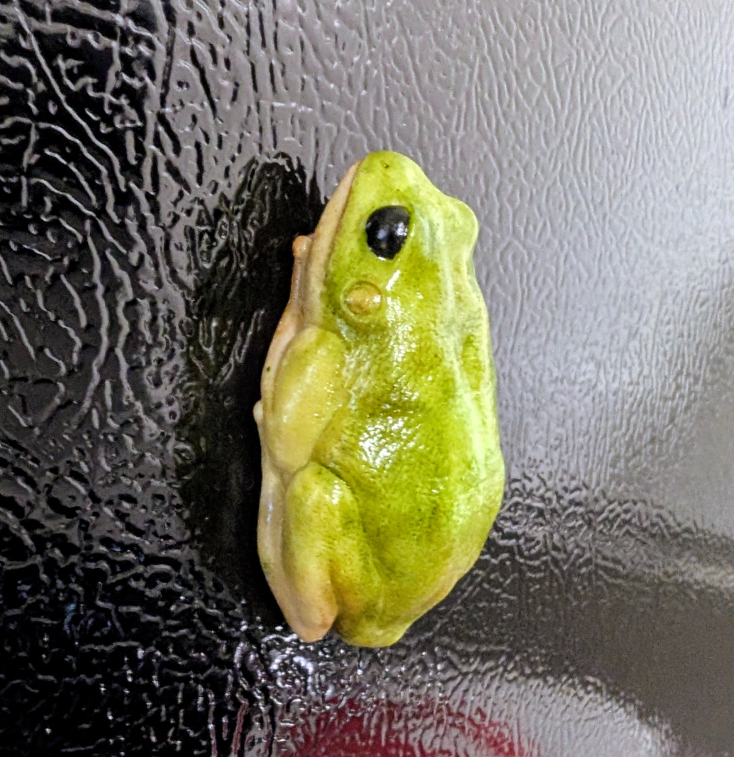 Tree frog magnet