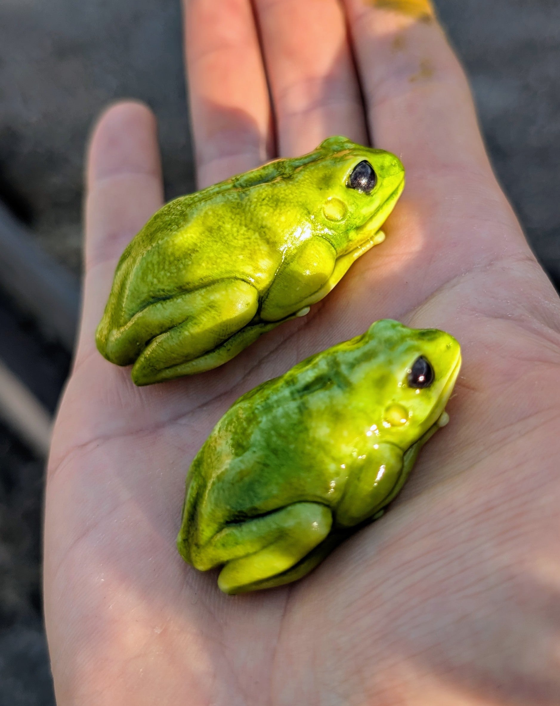 Green Tree frog pin