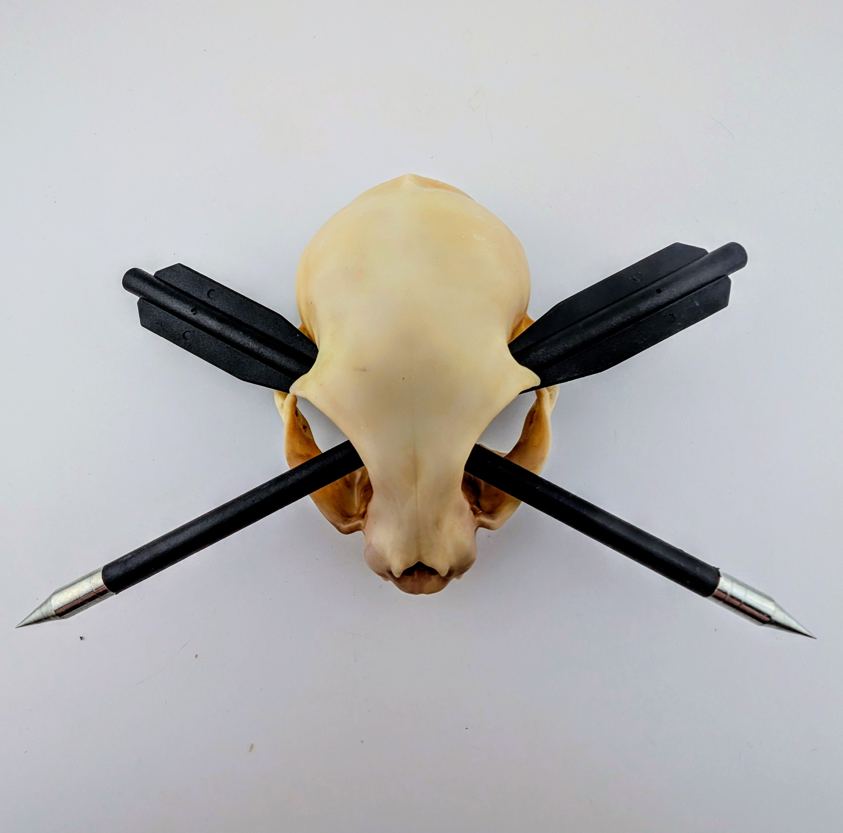 Cat skull hair pin