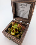 Dryad fairy skull pendant